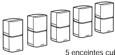 BOSER ACOUS. 10S3 ARGENT - Déballage du carton - 5