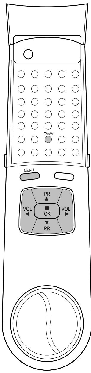 LG-GOLDSTAR PL48A82 - Réglage de l'image - 2