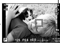 OLYMPUS TG-5 - Prise de photos (mode P) - 5