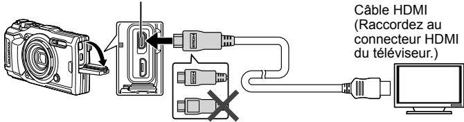 OLYMPUS TG-5 - Visualisation de photos sur la TV - 1