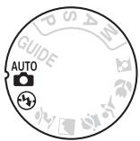 NIKON D3200 18-55 UR II - Photographie « Viser et photographier » (modes AUTO et Ⓥ) - 1