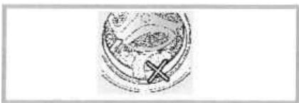 TRIOMPH TS912W - Remarques: - 6