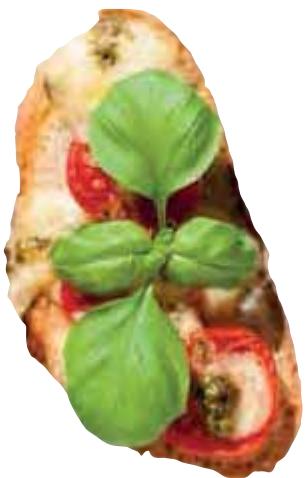 MAGIMIX CS4200 XL NOIR + COFFRET - Bruschetta tomate mozzarella - 6