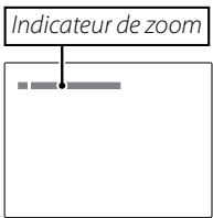 FUJI S-X1 - Cadrez la photo. - 2