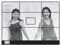 FUJI S-X1 - GRILLE9 - 1