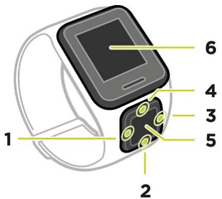TOMTOM SPARK MUSIC CARD LARGE MARRON - À propos de votre montre - 1