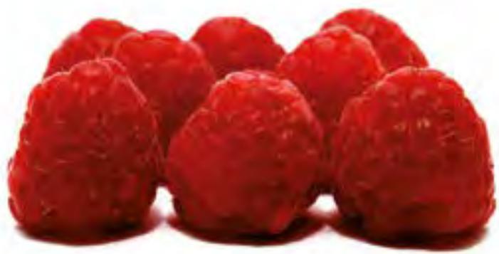 MAGIMIX 18256F - Mousse glacée aux framboises - 1