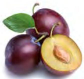 MAGIMIX 18256F - Clafoutis aux prunes - 1