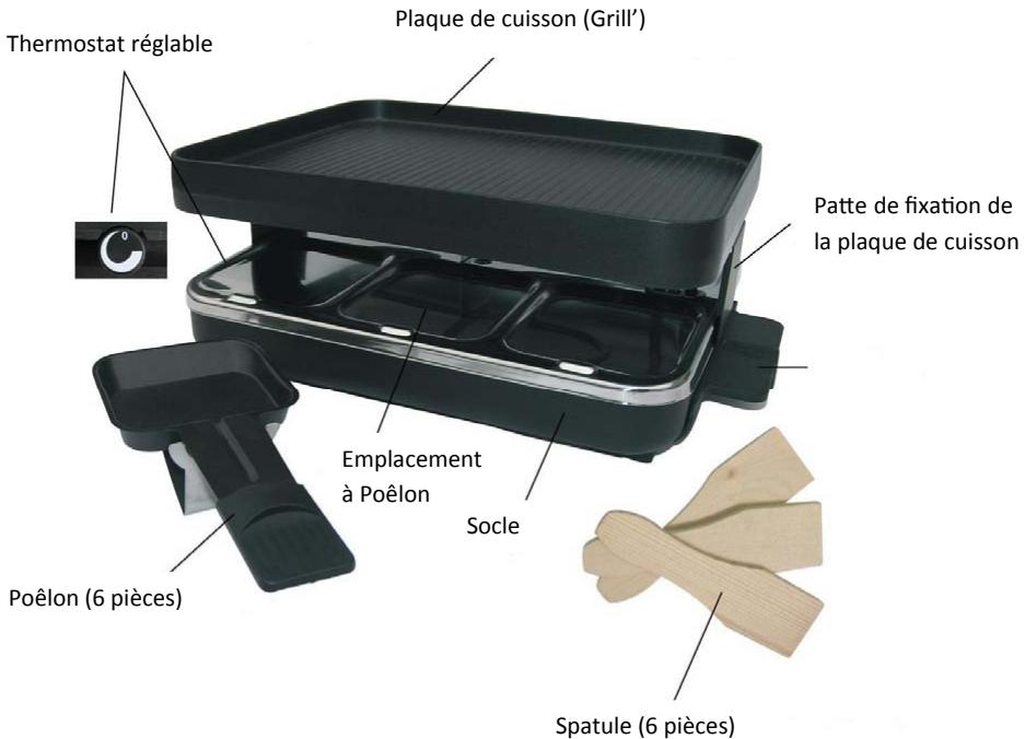 HARPER RG2 - DESCRIPTION GÉNÉRALE - 1