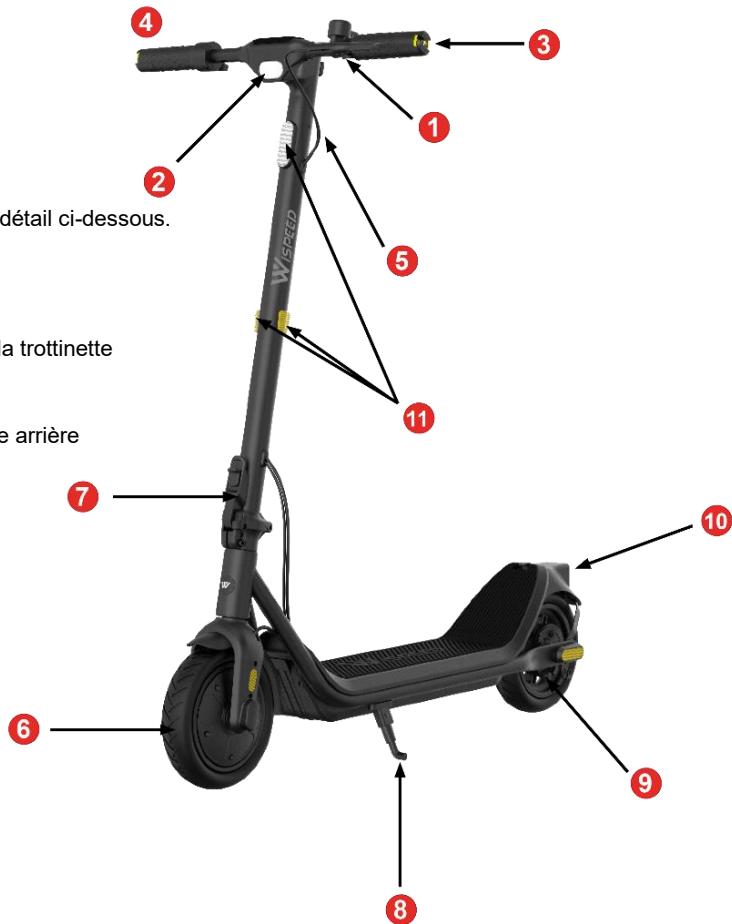 WISPEED C10-55 - Description de la trottinette - 1