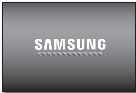 SAMSUNG SDS-P3042 - Vérification des informations système - 3