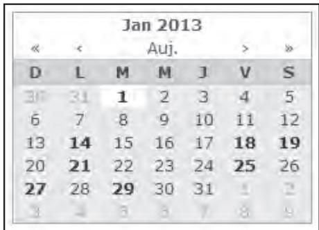 SAMSUNG SDS-P3042 - Pour rechercher par date - 1