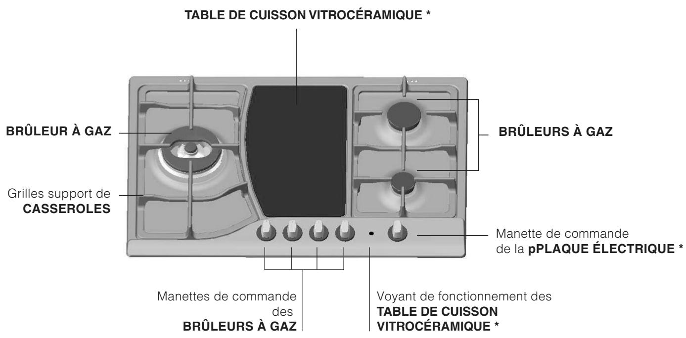 HOTPOINT PH 750 T HA/WH - \section*{Caracteristiques des brûleurs et des injecteurs} - 9