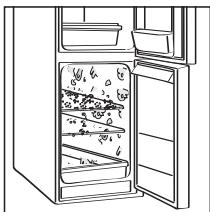 DOMENA ECOFLOR - RACLETTE À VITRES Débit vapeur MINI - 13