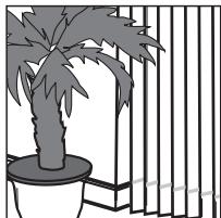 DOMENA ECOFLOR - RACLETTE À VITRES Débit vapeur MINI - 7