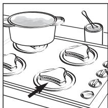 DOMENA ECOFLOR - RACLETTE À VITRES Débit vapeur MINI - 12