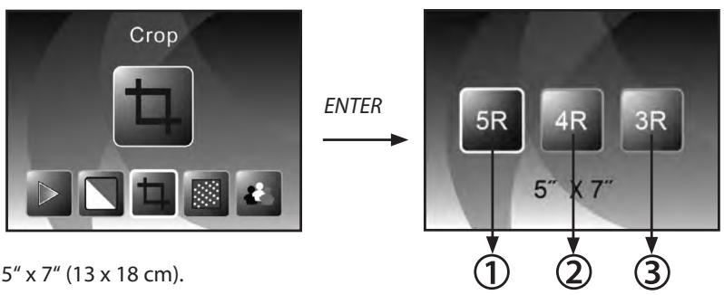 ROLLEI PDF-S 240SEC - Sélectionner le format des photos (uniquement en mode scanner de photos) - 1