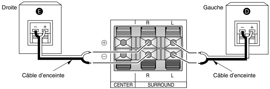PANASONIC XR15 - Enceinte d'extrêmes-graves - 3