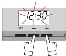 DE DIETRICH WTDOP420 - Instellen van dearend van de oven - 4