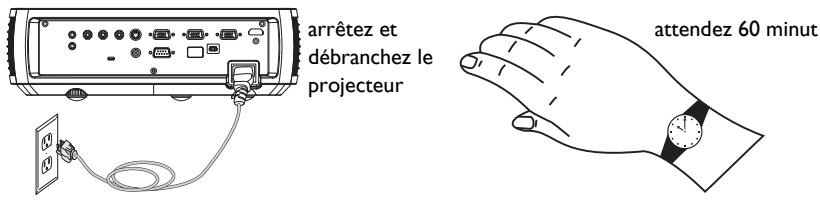 INFOCUS IN3102 - AVERTISSEMENT: - 2