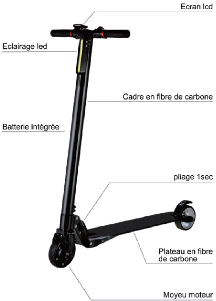 SCOOTY TROT ZA11 - 2