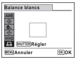 PENTAX X90 - Pointez l'appareil vers la feuille de papier blanc (ou autre support) et faites en sorte que celle-ci occupe la mire qui apparait au centre de I'écran. - 1