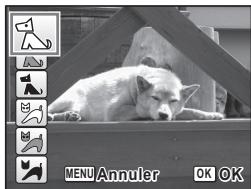 PENTAX X90 - Photographie de votre animal familier (mode Animaux domestiques) - 1