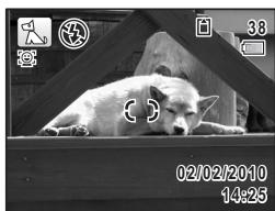 PENTAX X90 - Photographie de votre animal familier (mode Animaux domestiques) - 2
