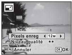 PENTAX X90 - Choisissez [Pixels enreg] ou [Niveau qualité]. - 1