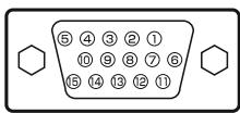 PROLINE LD1922D - Terminal RVB PC (prise 15 broches d-sub) - 1