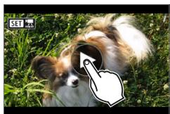 CANON 250D - Haut-parleur - 5