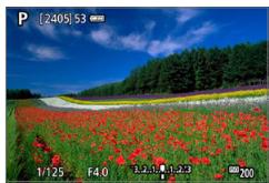 CANON 250D - Effectuez la mise au point sur le sujet. - 1