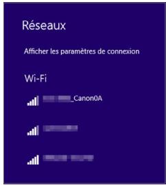 CANON 250D - Example d'écran de l'ordinateur - 1