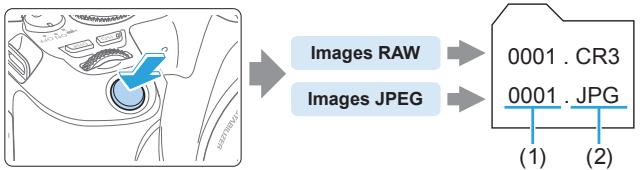 CANON 250D - Images RAW et images JPEG - 1