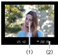 CANON 250D - Autofocus One-Shot pour les sujets immobiles - 1