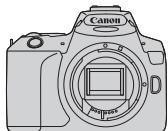 CANON 250D - Liste de vérification des éléments - 1