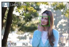 CANON 250D - Affichez l'image de Visée par l'écran sur l'écran LCD. - 1