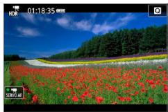 CANON 250D - Enregistrement de videos HDR - 2