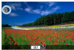 CANON 250D - Positionnez le commutateur d'alimentation de l'appareil photo sur < 0N> . - 1