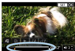 CANON 250D - Indiquez la portion a couper. - 2