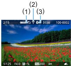 CANON 250D - Statut de la communication sans fil - 2