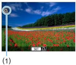 CANON 250D - Positionnez le commutateur d'alimentation de l'appareil photo sur < 0N> . - 4