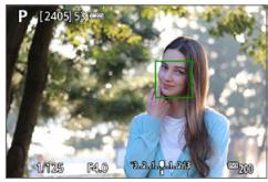 CANON 250D - Affichez l'image de Visée par l'écran. - 1