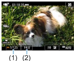 CANON 250D - Reglez la sensibilité ISO. - 1