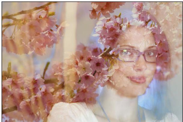 HTC OME AS SILVER - Superposition - 1