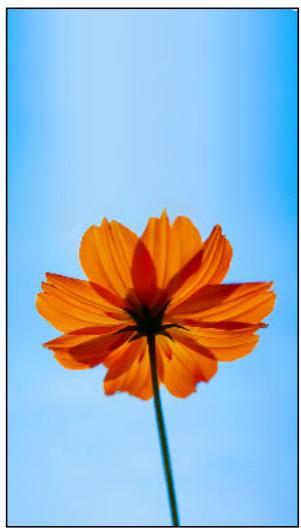 HTC OME AS SILVER - Fond d'écran - 1