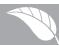VEDETTE FRANCAISE - ENVIRONNEMENT - 1