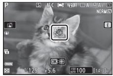 NIKON Z6II+24-70MM - Mise au point sur les visages ou les yeux des animaux (AF détction des animaux) - 2