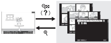 NIKON Z6II+24-70MM - Visualisation par planche d'imagettes - 2
