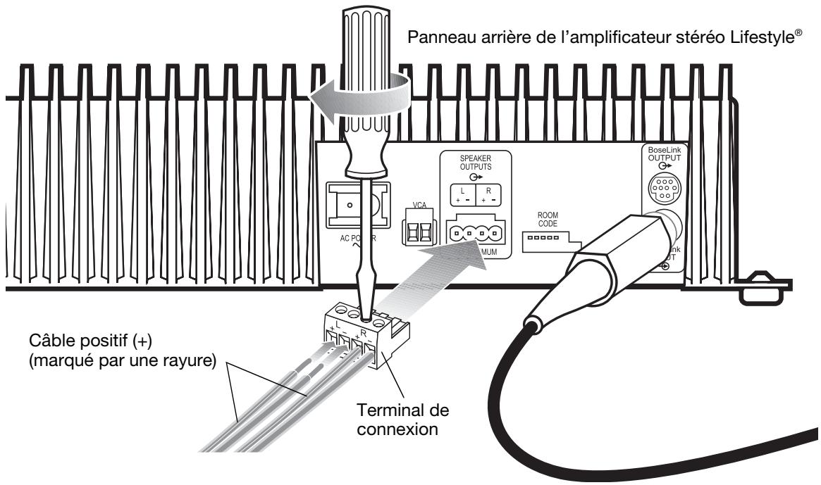 BOSER SA2 - Connexion d'enceintes à l'amplificateur stéreo Lifestyle® - 1